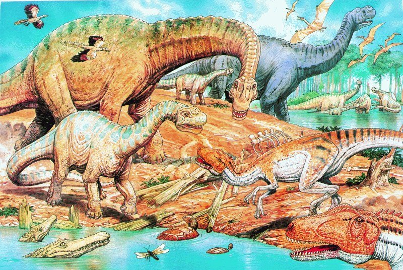 Jigsaw - Dinosaurs (48 piece)