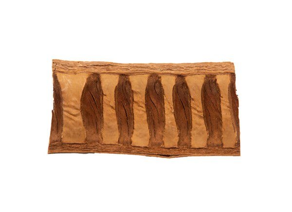 FlameTea Seed Case