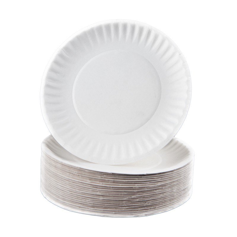 Paper Plates 6" (100) 
