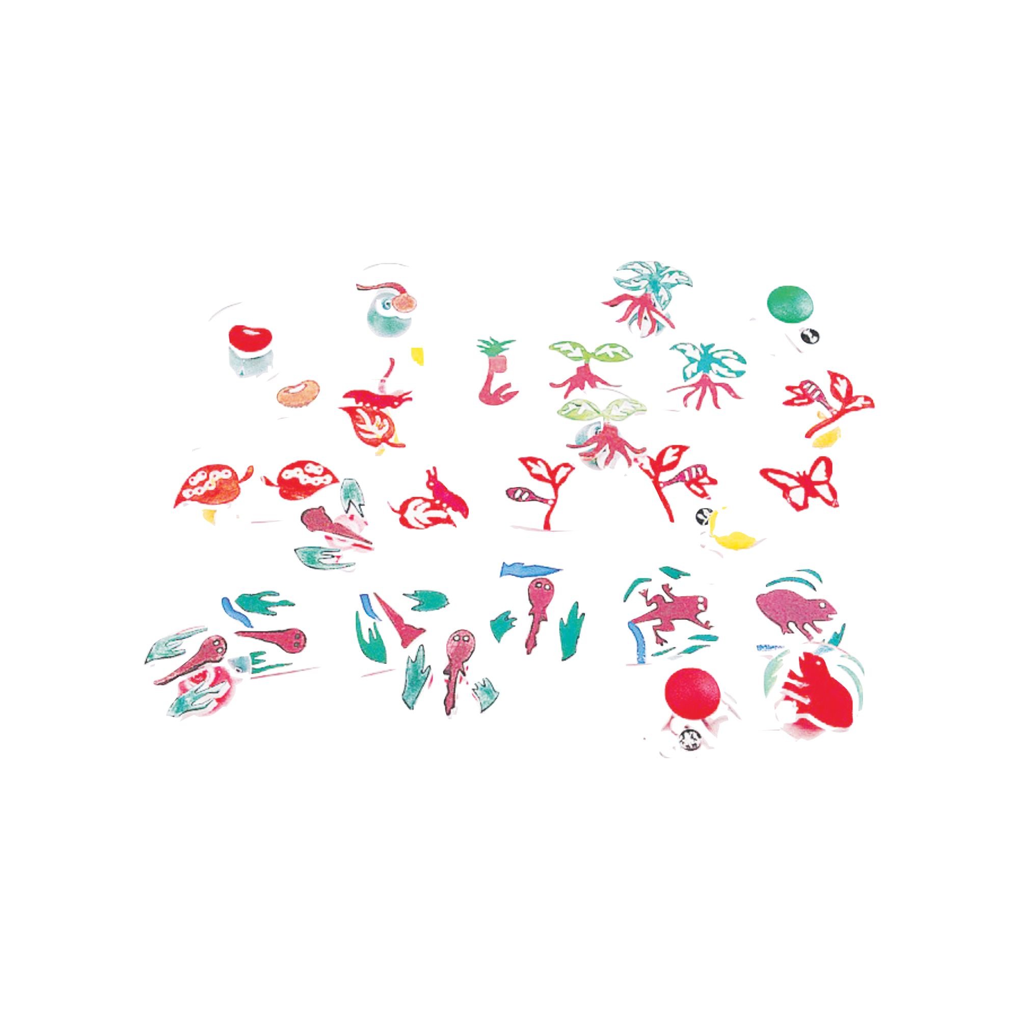 Stampers with Handles - Life Cycle (14 piece)
