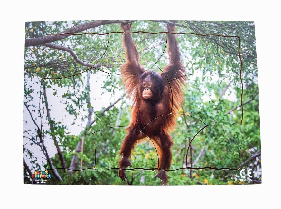 Jigsaw - Endangered Animals - Orangutan (10 piece)