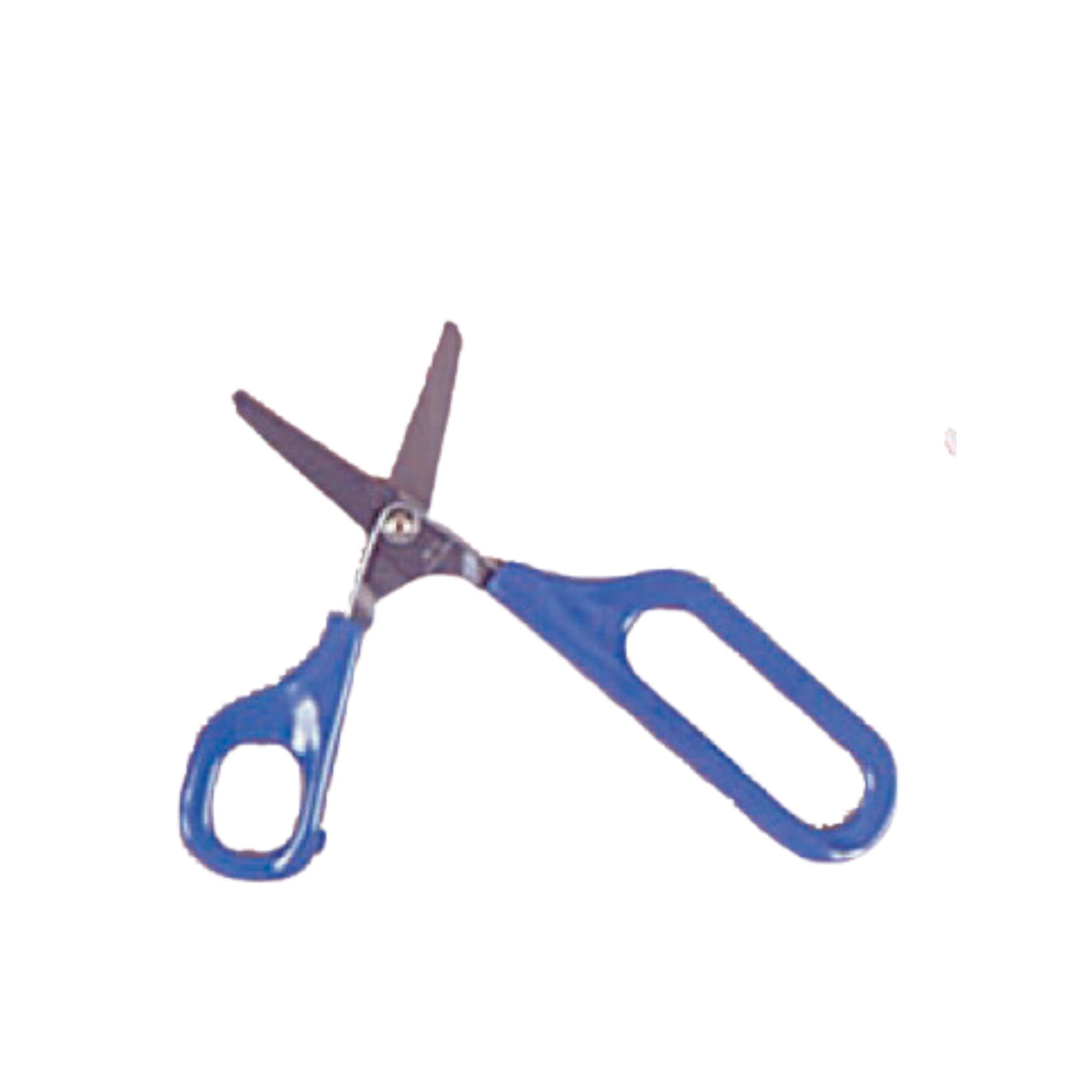 Longloop Scissors (R/H)
