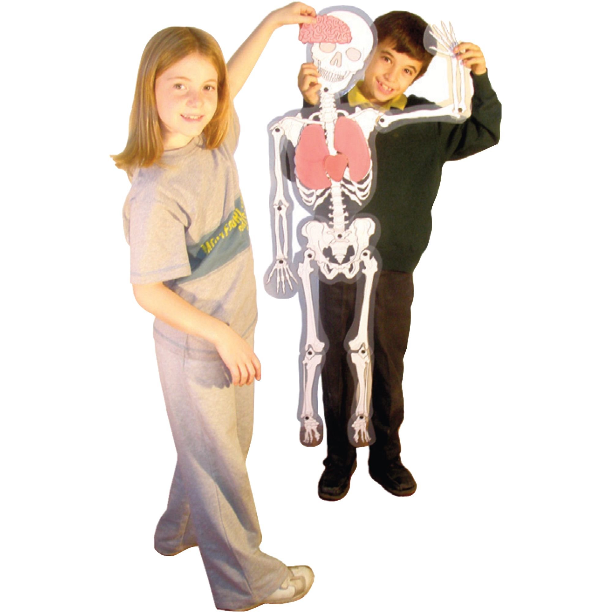 Large Wall Skeleton Man
