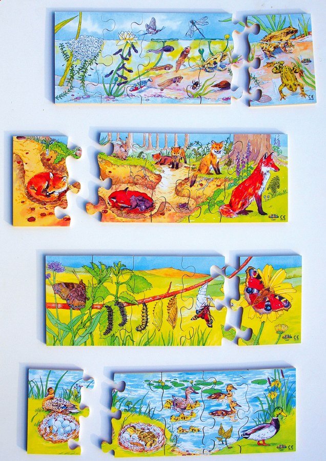 Jigsaw - Life Cycle (Set of 4)