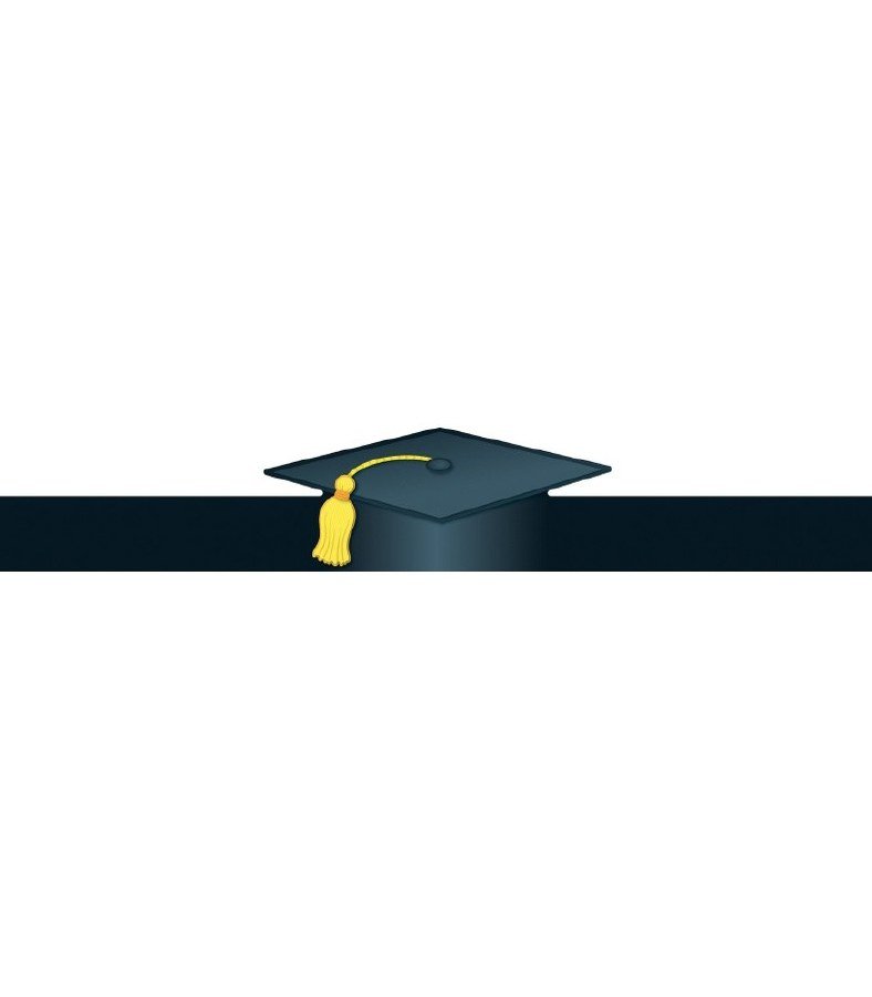 Graduation Caps (30)