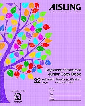 Aisling Jr. Writing Copy (10)