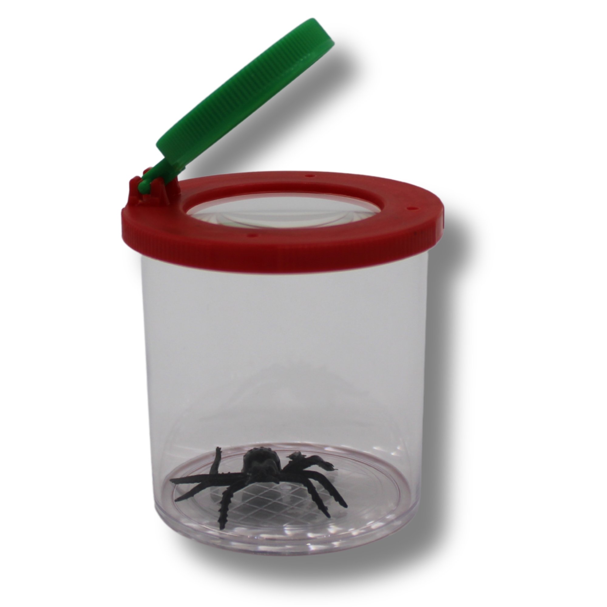 Insect Magnifying Bug Box