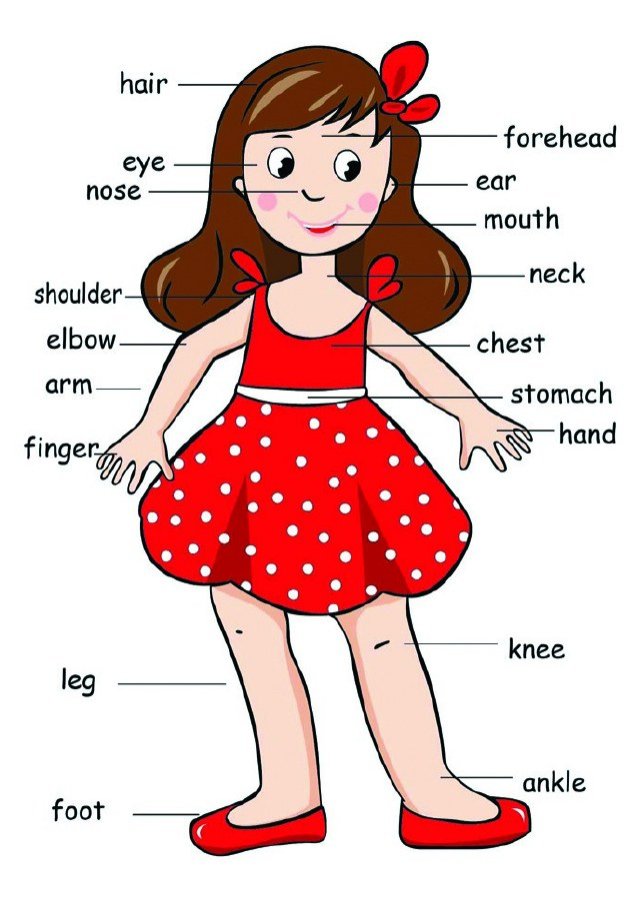 Poster - Body Girl (English)