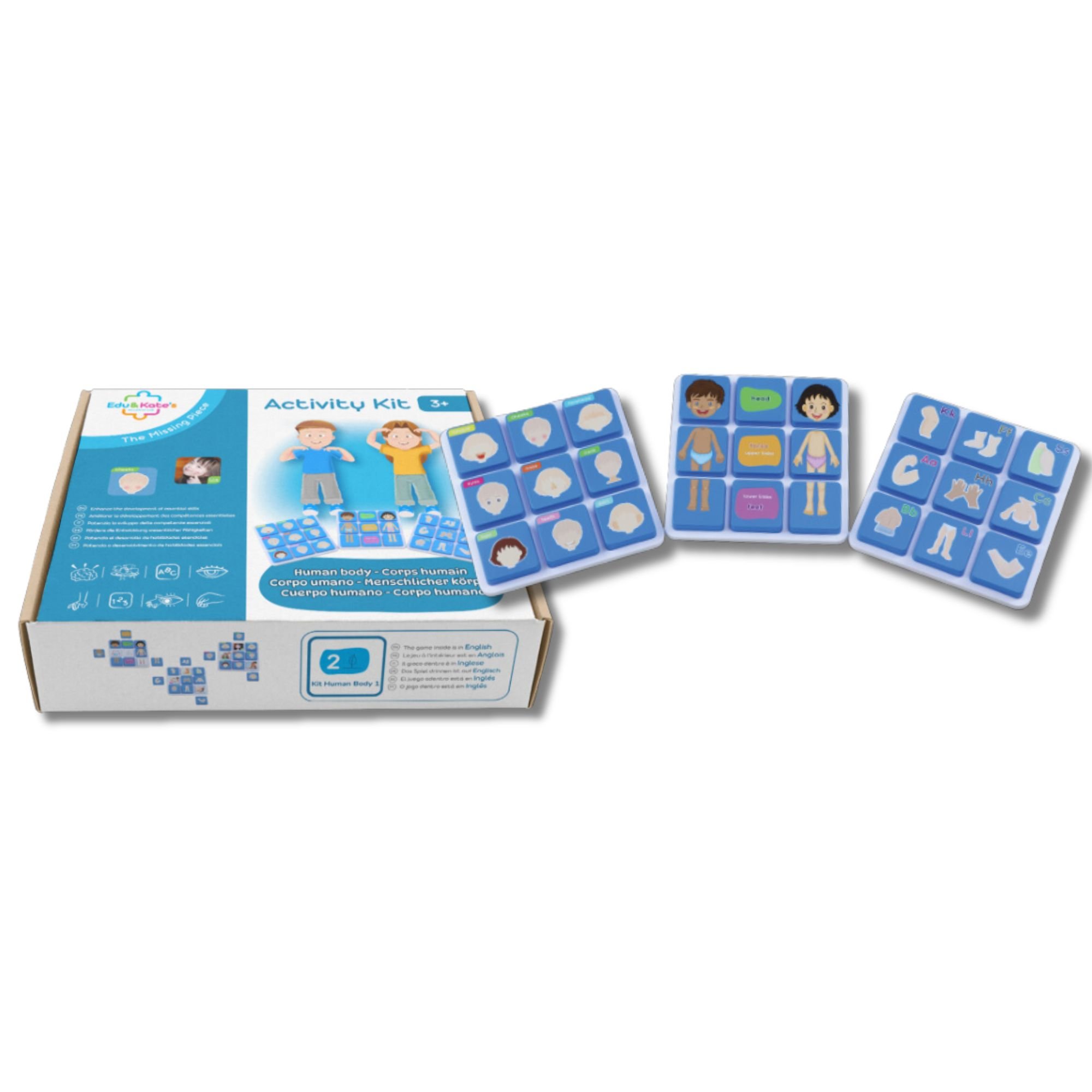 Human Body 1 (Kit)