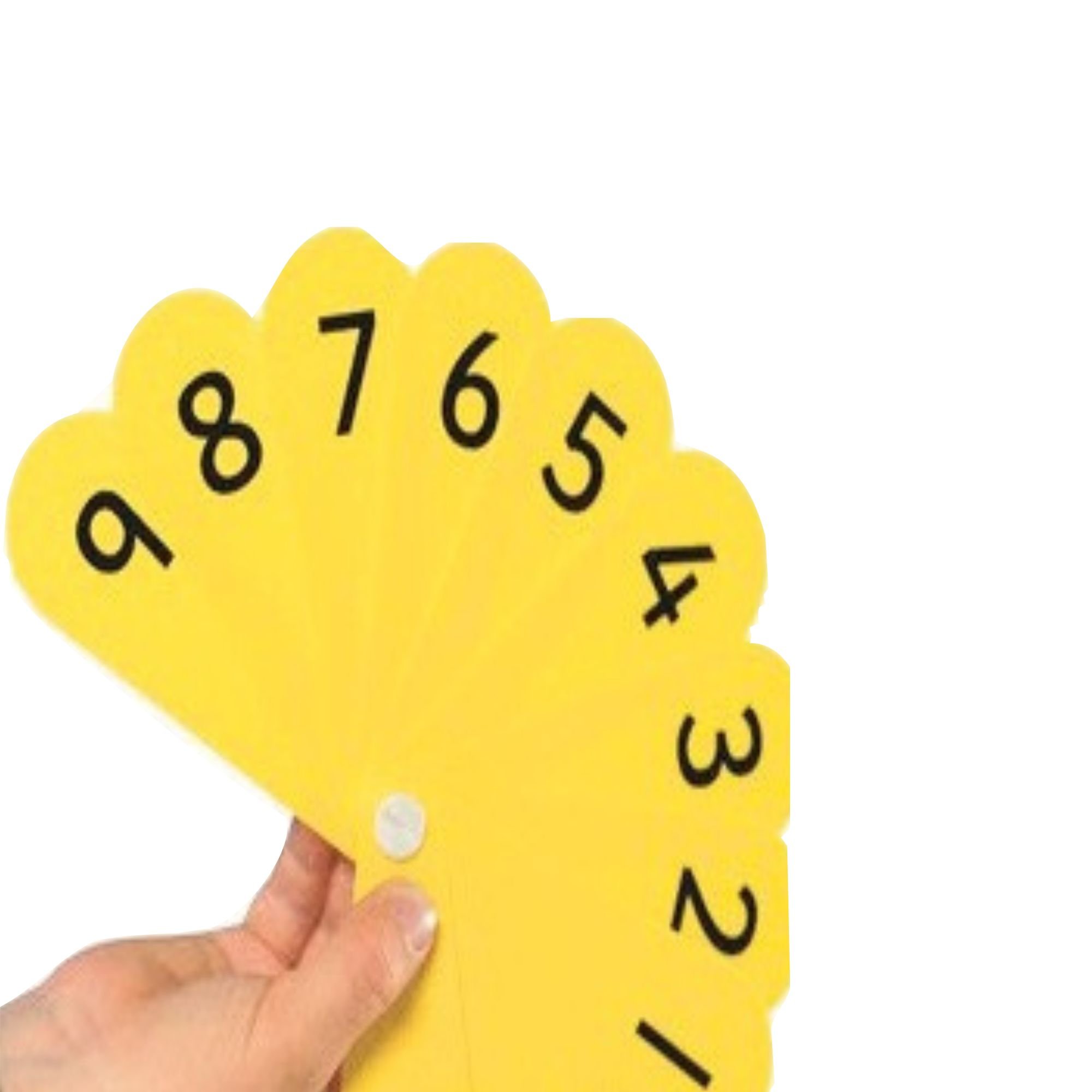 Number Fan - Teacher (2)
