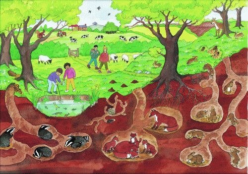 Jigsaw - Beneath Our World Countryside (40 piece)
