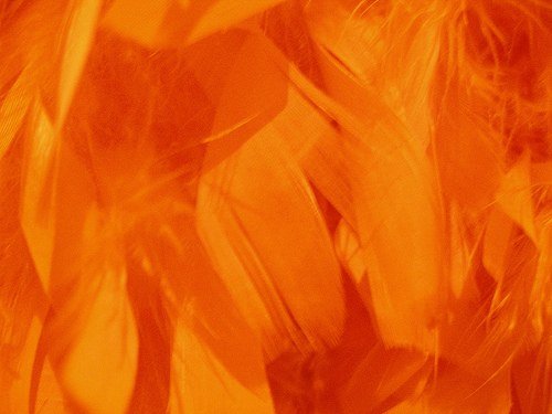 Feathers Orange (200 piece)