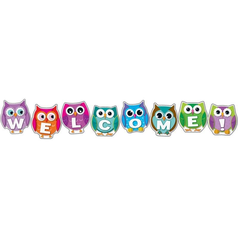 Bulletin Board - Owl Welcome Display