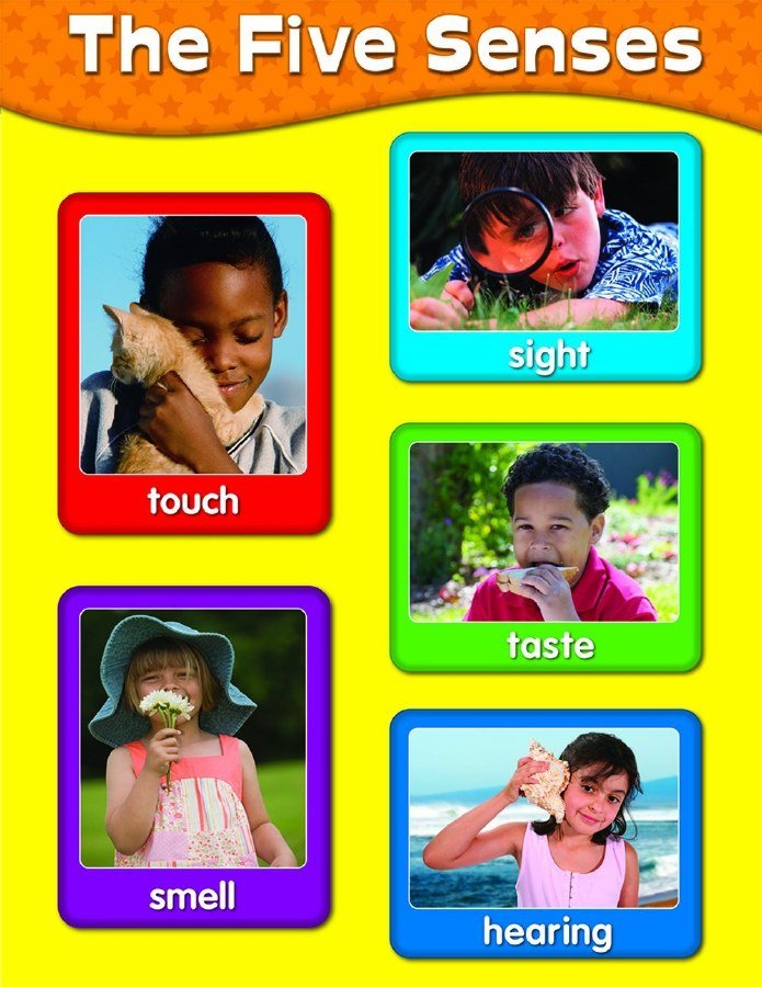 Poster - Five Senses