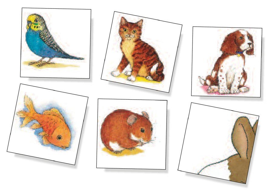 My First Puzzle - Pets (Set of 4)