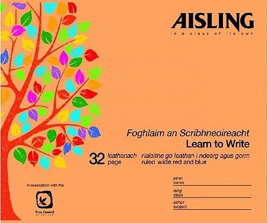 Aisling B2 Learn To Write (10)