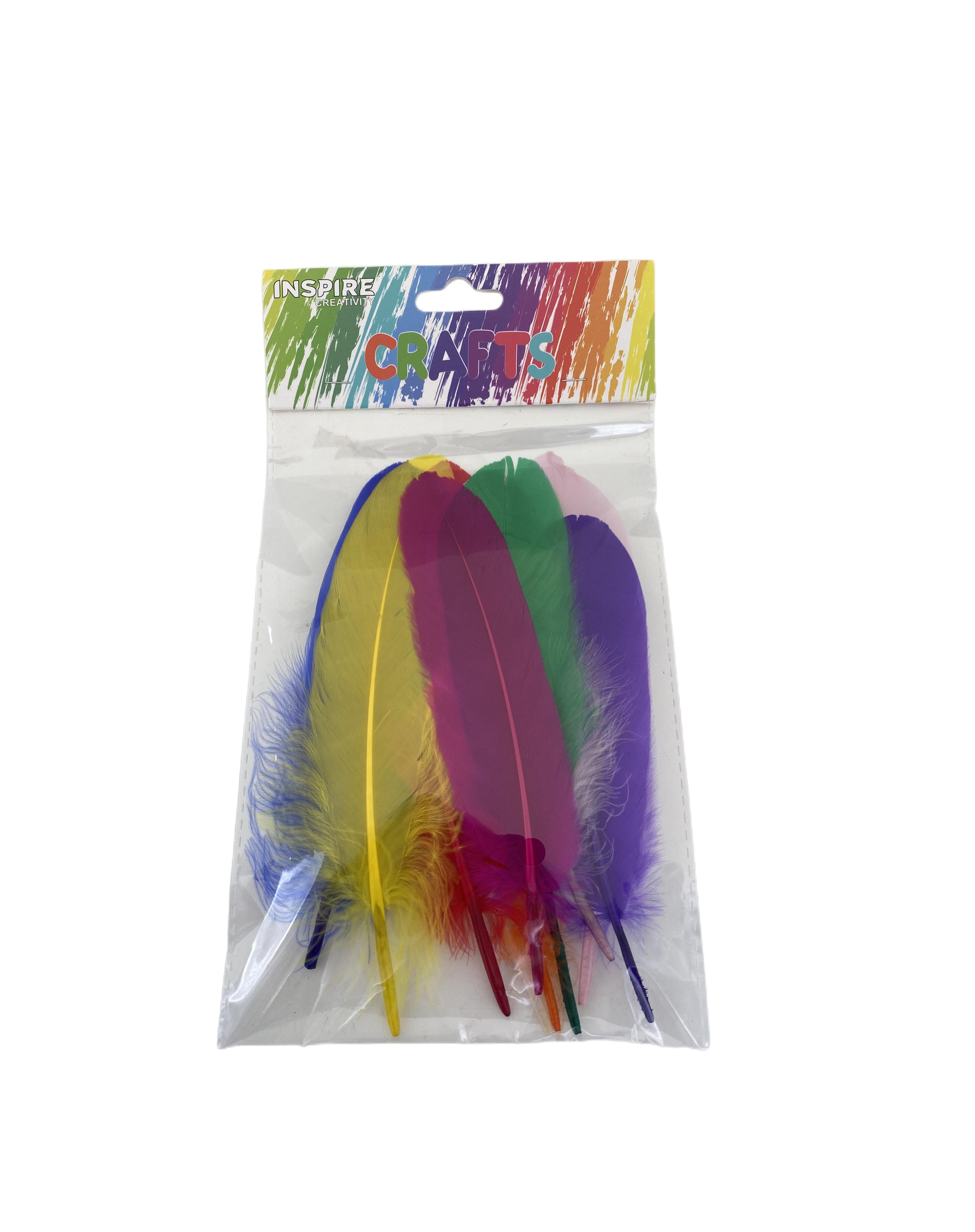 Mixed Duck Feathers 15-18cm (10 piece)