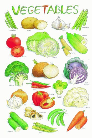 Floor Jigsaw - Vegetables (24 piece)