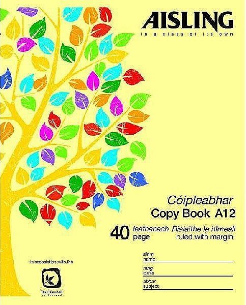 Aisling Sum Copy 40pg (10)