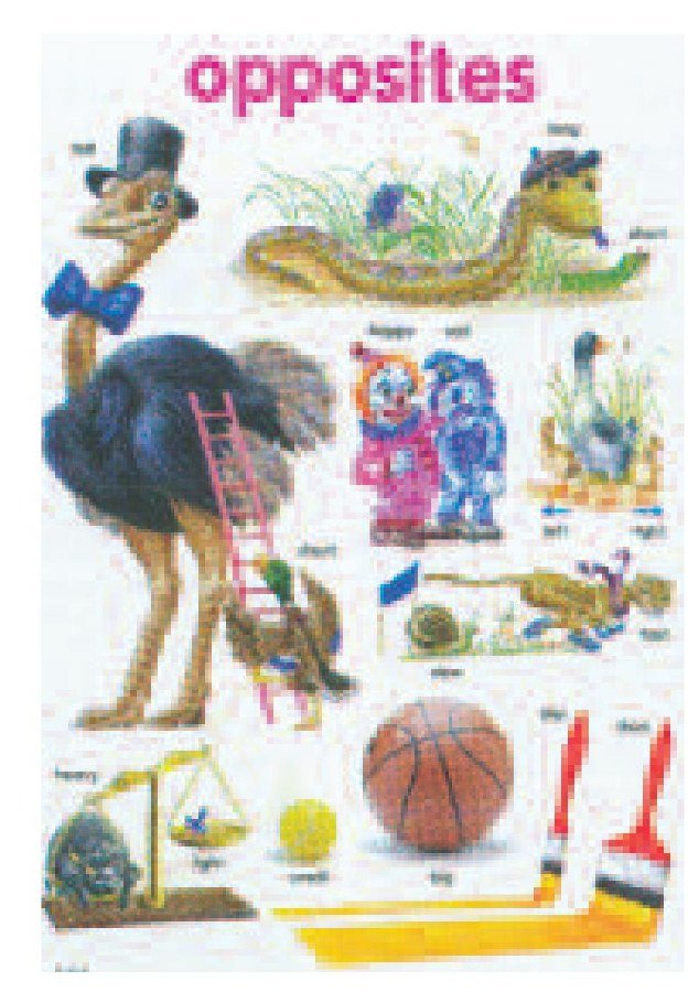 Poster (Laminated) - Opposites