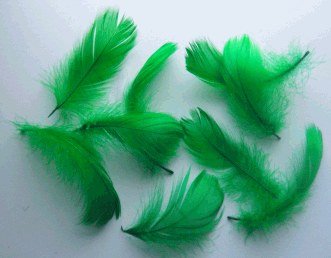 Feathers Green (200 piece)