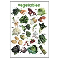 Poster (Laminated) - Vegetables